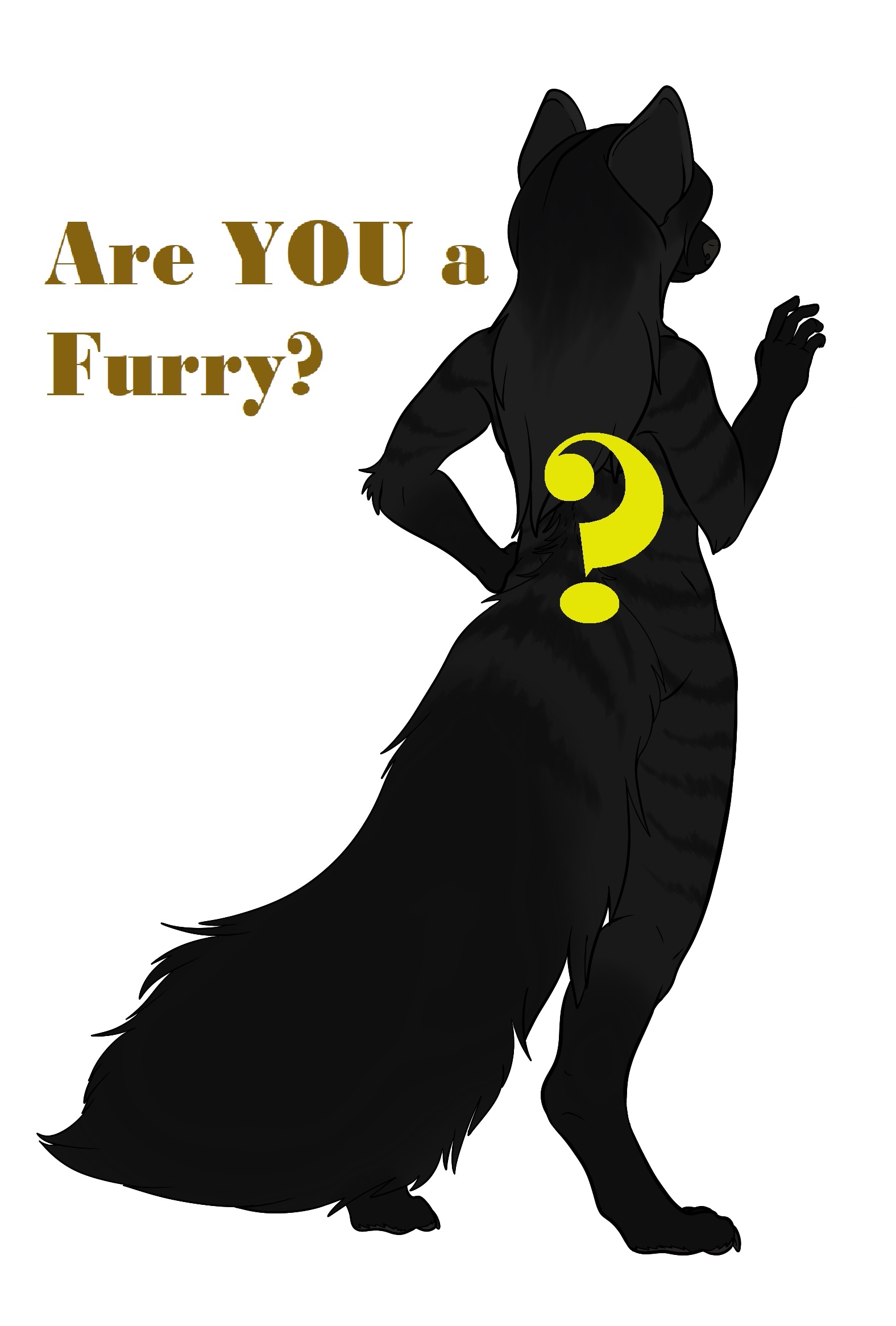 Furry test quiz